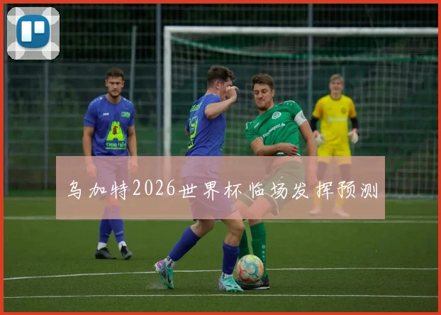 乌加特2026世界杯临场发挥预测
