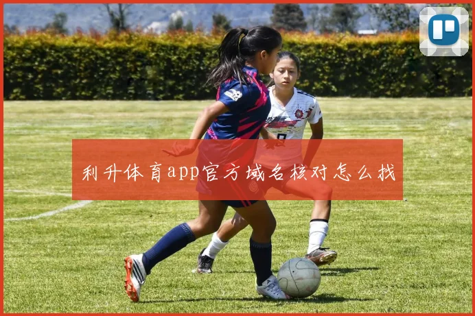 利升体育app官方域名核对怎么找