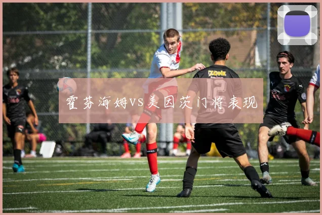 霍芬海姆vs美因茨门将表现
