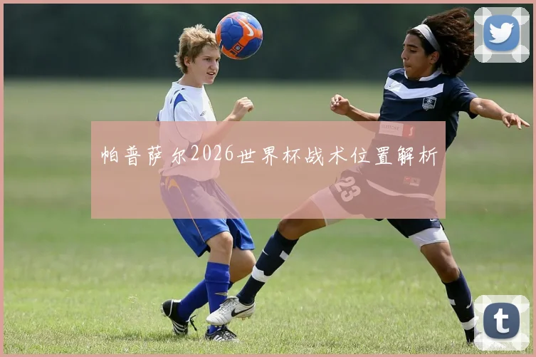 帕普萨尔2026世界杯战术位置解析