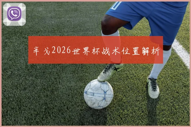 辛戈2026世界杯战术位置解析